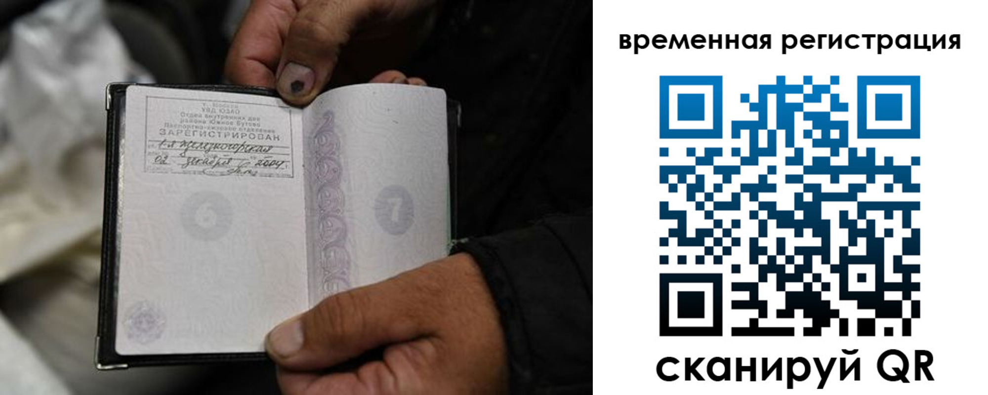 прописка поиск в Светогорске